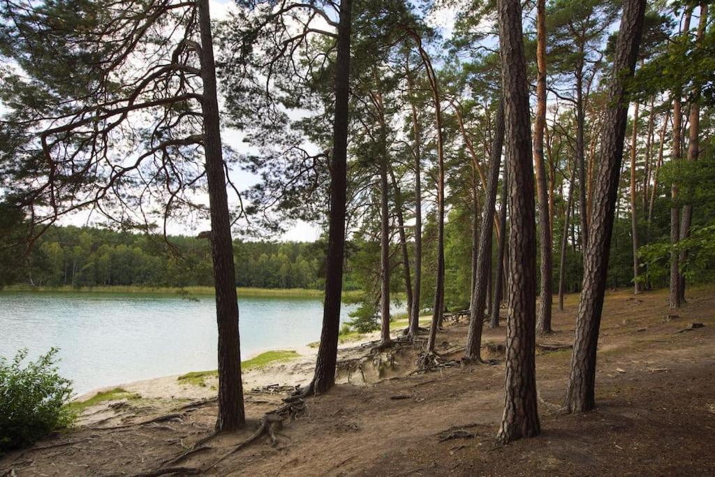 Vila Kaminsko By Latowisko - Puszcza Zielonka Exteriér fotografie